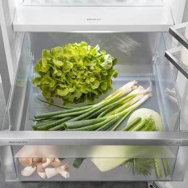 biofresh-fruit-vegetable-safe-liebherr-detail-1080x1080_w384_h384.jpg